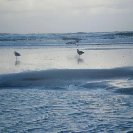 Fletcher Restaurant Zeeduin Wijk aan Zee