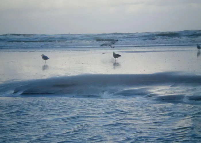 Fletcher Restaurant Zeeduin Wijk aan Zee